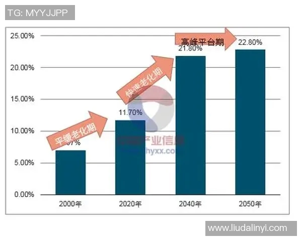 探讨CSGO焦点LNG战队当前状态与未来发展方向分析实时数据
